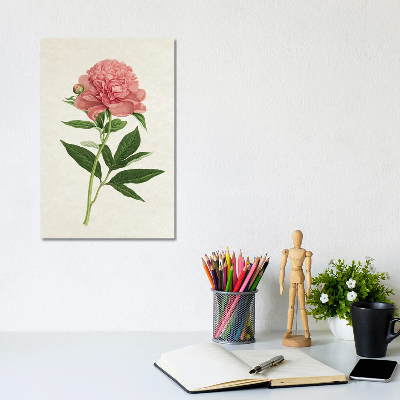 Vintage Rose by Amelie Vintage Co - No Frame Gallery-Wrapped Canvas Giclée on Canvas, 30.48cm H x 20.32cm W