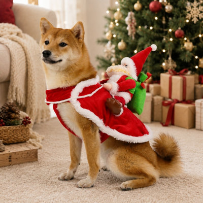 Santa Claus Rider Christmas Dog Costume