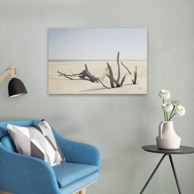 Georgia Driftwood I Coastal Blue Grey White Beach Brown
