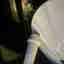 Photos des clients 3 de 4