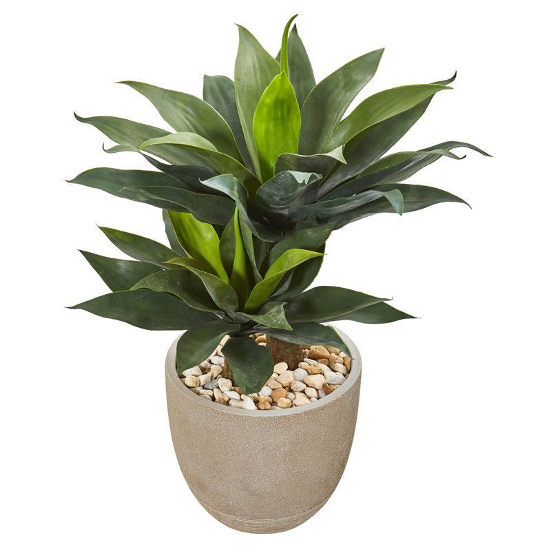 34'' Faux Agave Succulent in Stone Planter