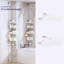 Stainless Steel Shower Caddy