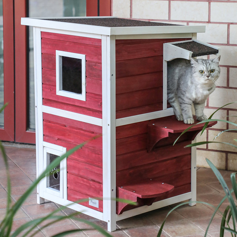 Chitose Cat House, Red