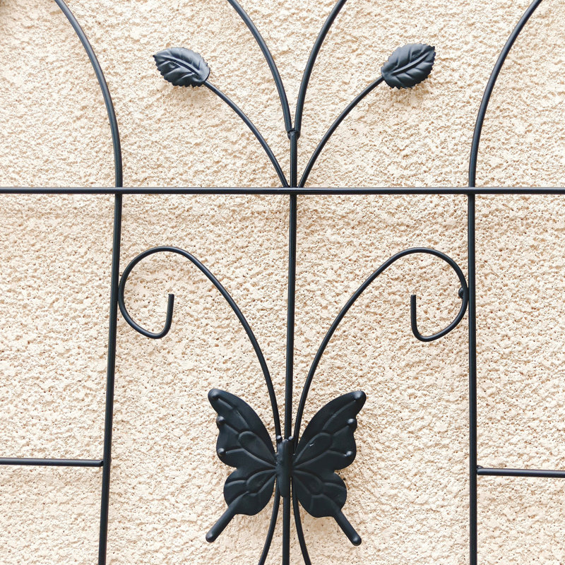 Support pour plante grimpante en métal pour jardin