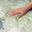 Premium Machine Washable Dream Shag ADS192 Turtles Rug-895849928-895849922