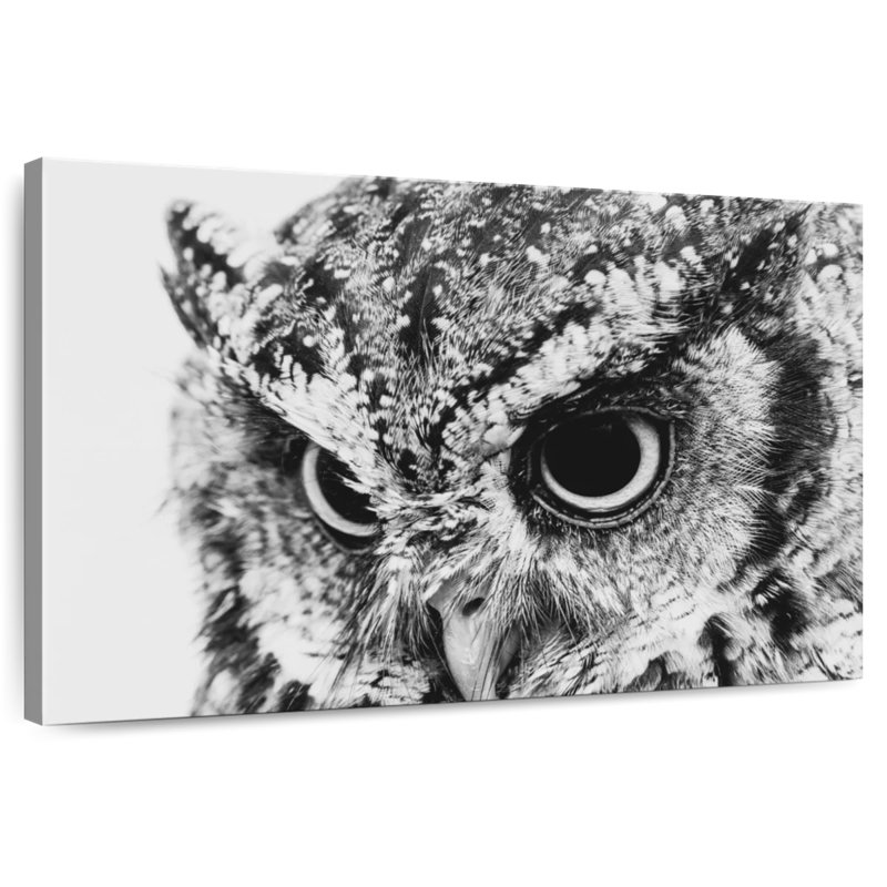 Brampt Staring Owl, 26" H x 39" W