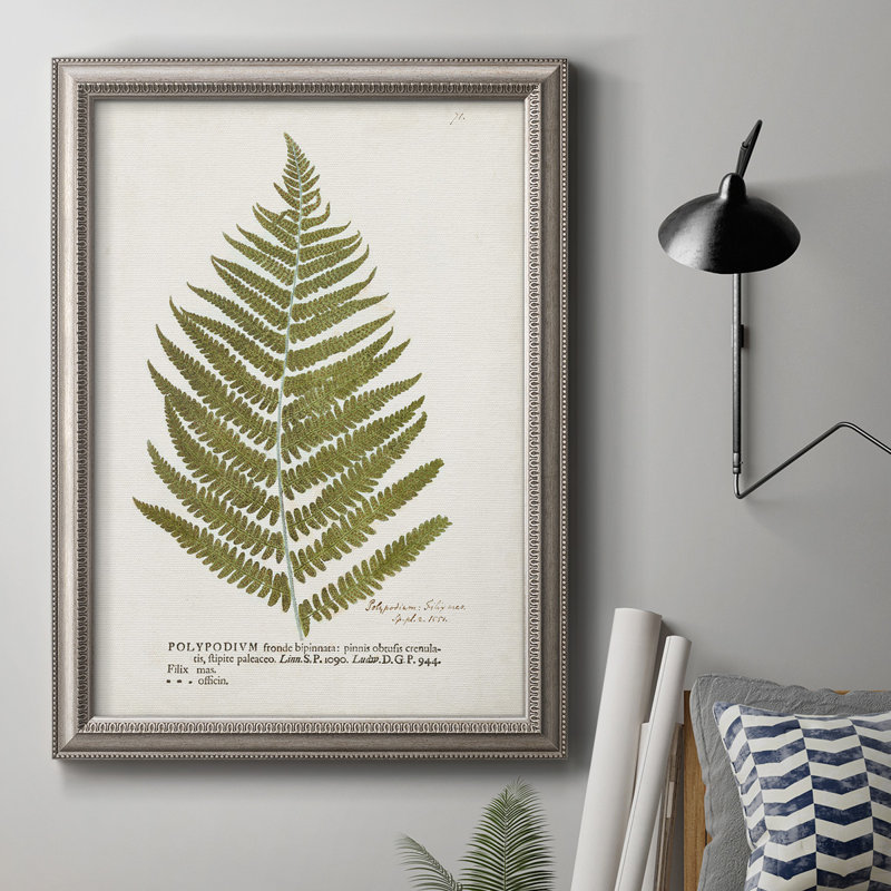 Nature Ferns II - reproduction d'art sur toile encadrée, L 16 po x H 20 po