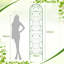Metal Arched Trellis-54254351-54254345