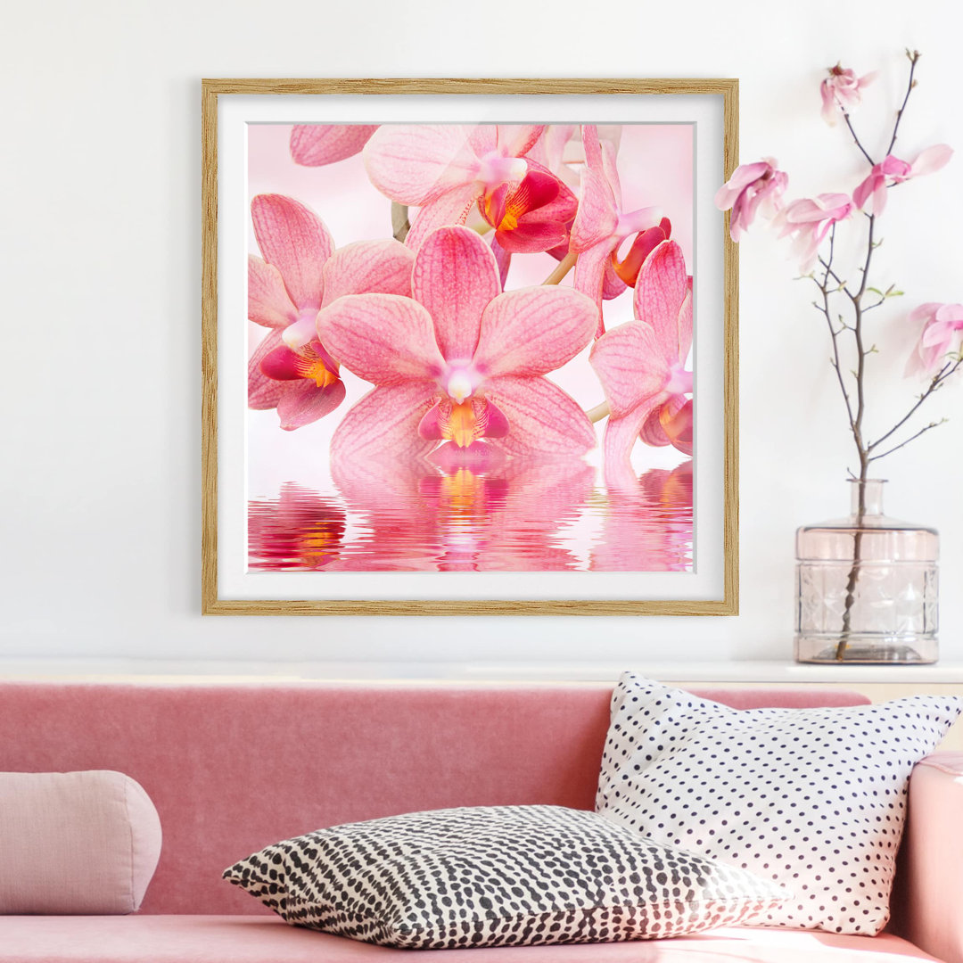 Gerahmtes Papierbild Rosa Orchideen auf Wasser