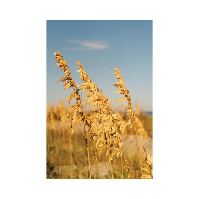 Hilton Head Island III by Bethany Young - Print on Canvas, Wrapped Canvas, 45.72cm H x 30.48cm W x 1.91cm D