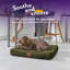 Slumberdown Paws for Slumber Raised Padded Dog Bed – Comfortable, Supportive & Durable Pet Bed for All Breeds-1383538064-1383538066