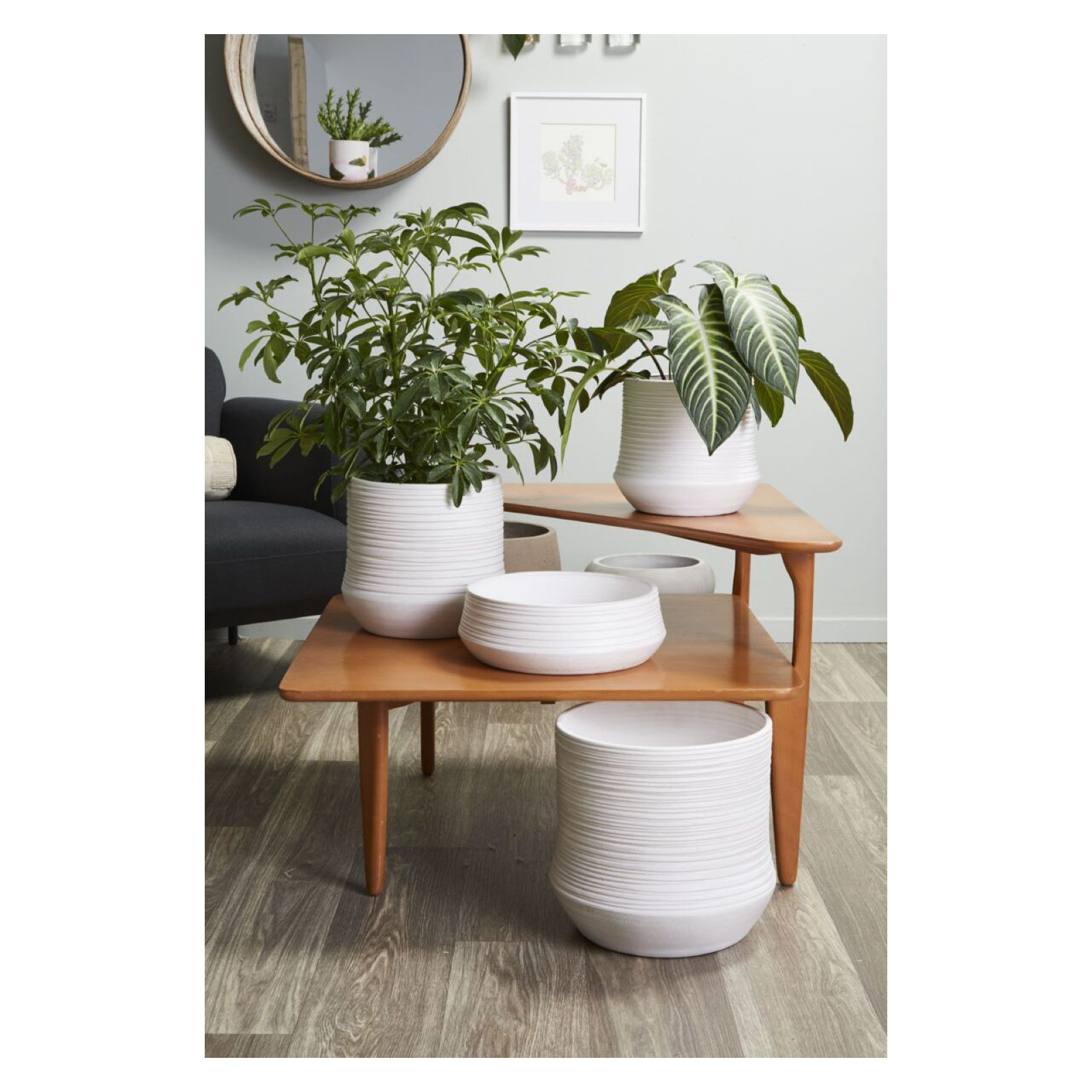 Canella Ceramic Decorative Bowl