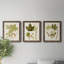 Feuilles antiques IV - ensemble de 3 peintures sur toile encadrées-1306045713-1306045717