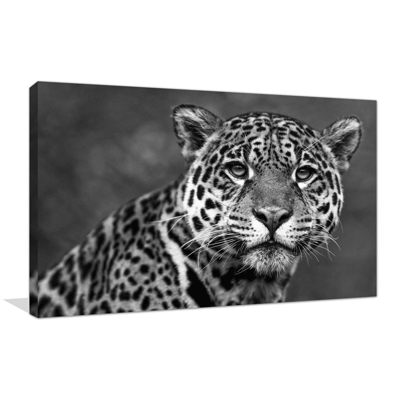 " Leopard ", 18" H x 30" W x 1" D