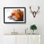 Profile of a Red Fox - Picture Frame Painting Print-56758548-56758549
