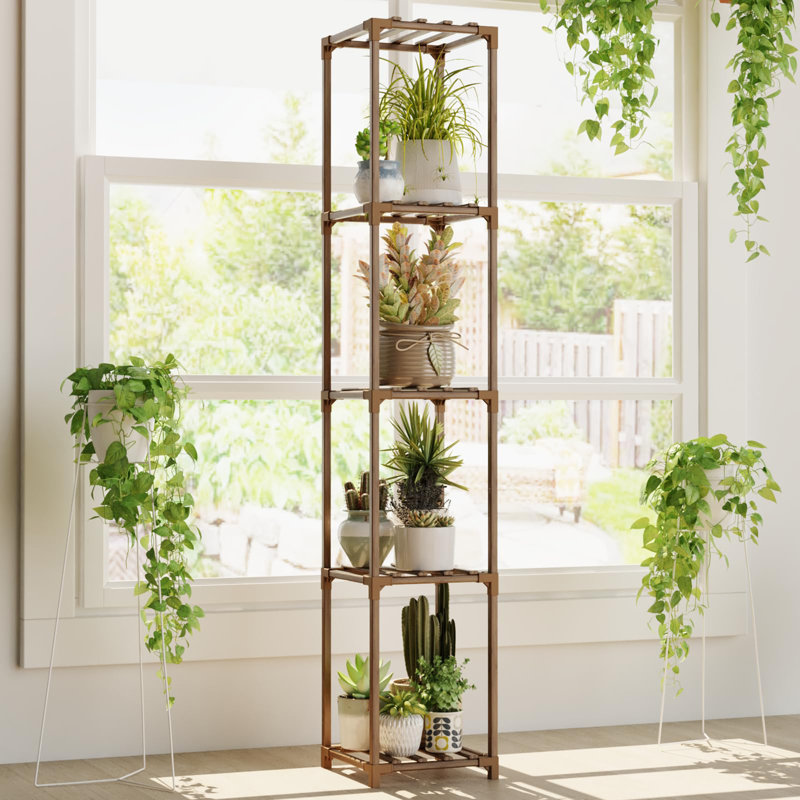 Support pour plante d'intérieur à 5 niveaux