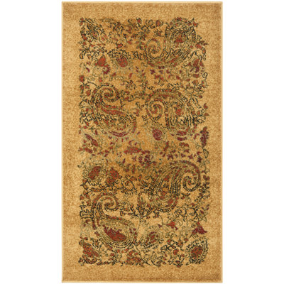 Klose Performance Paisley Rug
