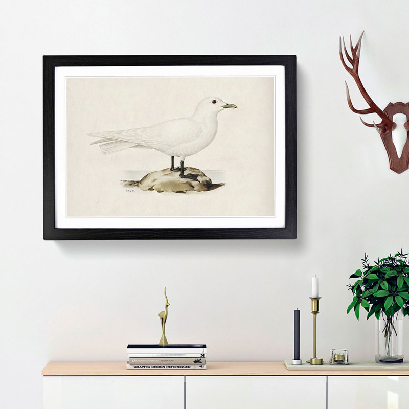 Ivory Gull by Von Wright - Picture Frame Painting Print, 27cm H x 36cm W x 2cm D, Black Framed