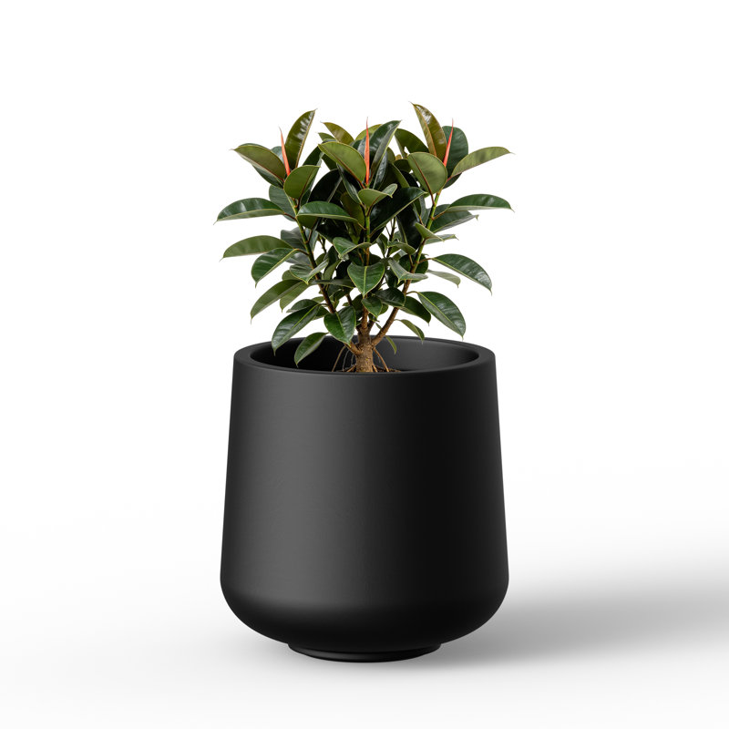Pot à béton en ciment robuste gris anthracite foncé H 13 po x l 11,5 po pour le patio et le jardin, Gris anthracite foncé