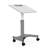 Trapezoid Metal 30'' h x 29'' w Adjustable Standing Desk