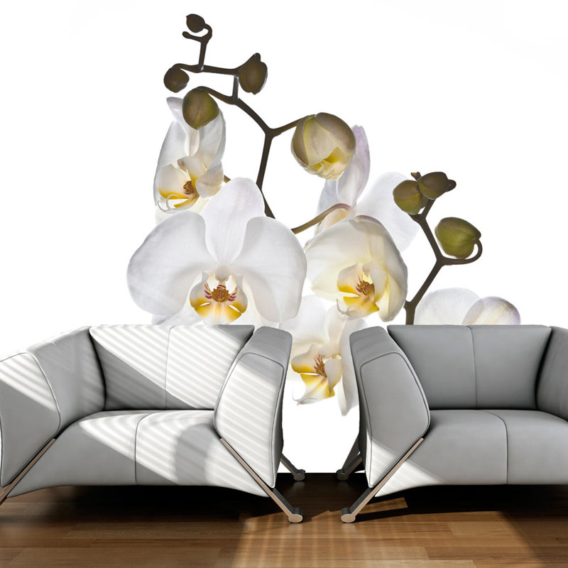 Shyness 1.54m x 200cm Wallpaper, 231 cm L x 300 cm W