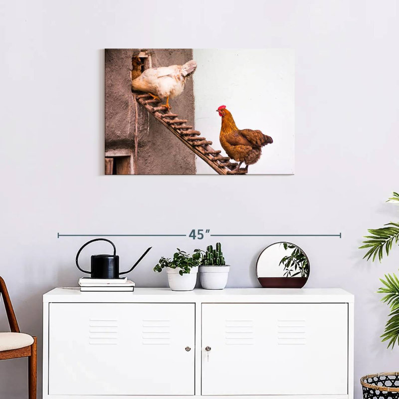 Brampt Chicken Coop, 20" H x 30" W