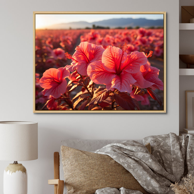 Hibiscus Field Vue aérienne, impression sur toile, Cadre naturel flottant, H 16 po x l 32 po x P 1 po