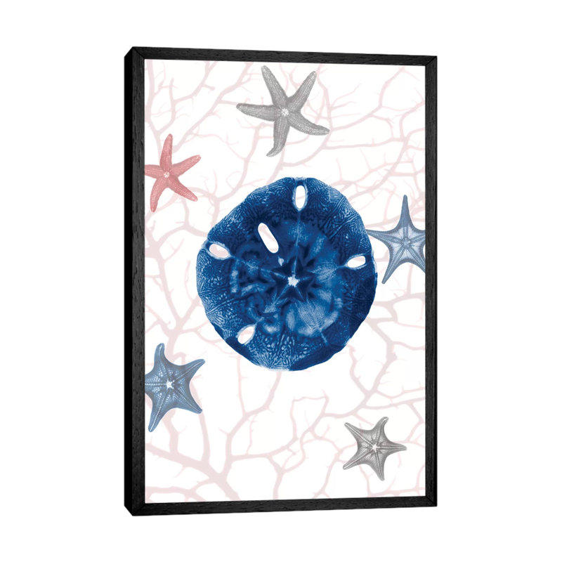 Nautical Splendor I by Albert Koetsier - Print on Canvas, 66.04cm H x 45.72cm W x 3.81cm D, Black Framed