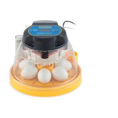 automatic hen egg cleaner machine duck