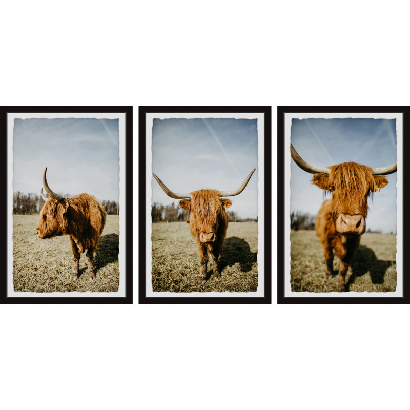 Illings Sweeping Horns - 3 Piece Single Picture Frame Print Set, 61cm H x 123cm W x 3.81cm D