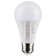 12 Watt White LED Bulb