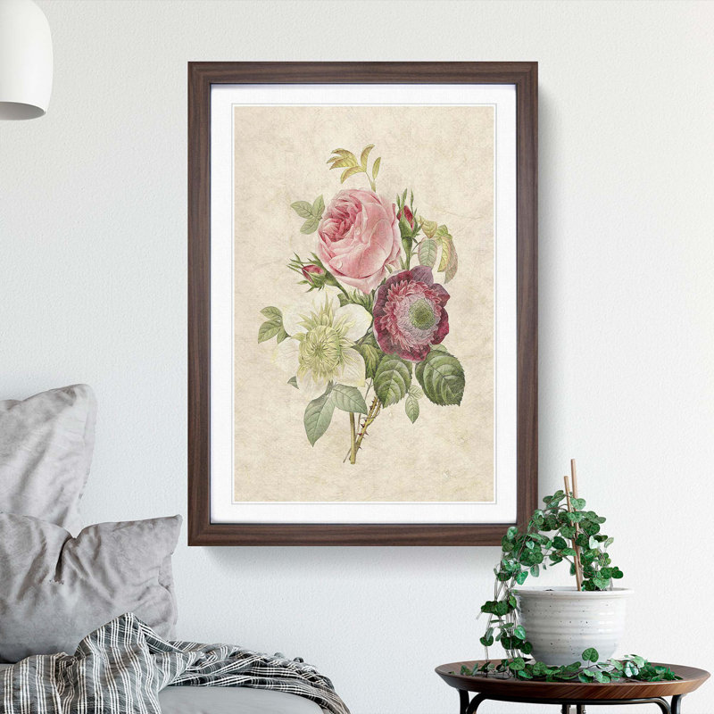 Pink Anemone Rose by Pierre-Joseph Redoute - Framed Print, 36cm H x 27cm W x 2cm D, Walnut Framed