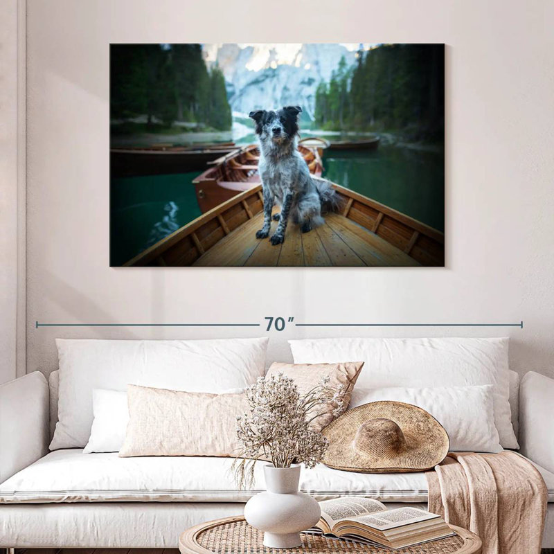 Border collie sur bateau, H 32 po x l 48 po