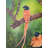 Paradise Flycatcher | Oil On Canvas | By Alka Sengar