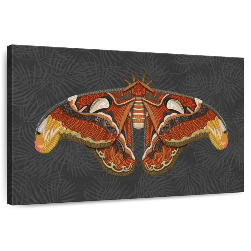 Brampt Atlas Moth Dark, 24" H x 36" W