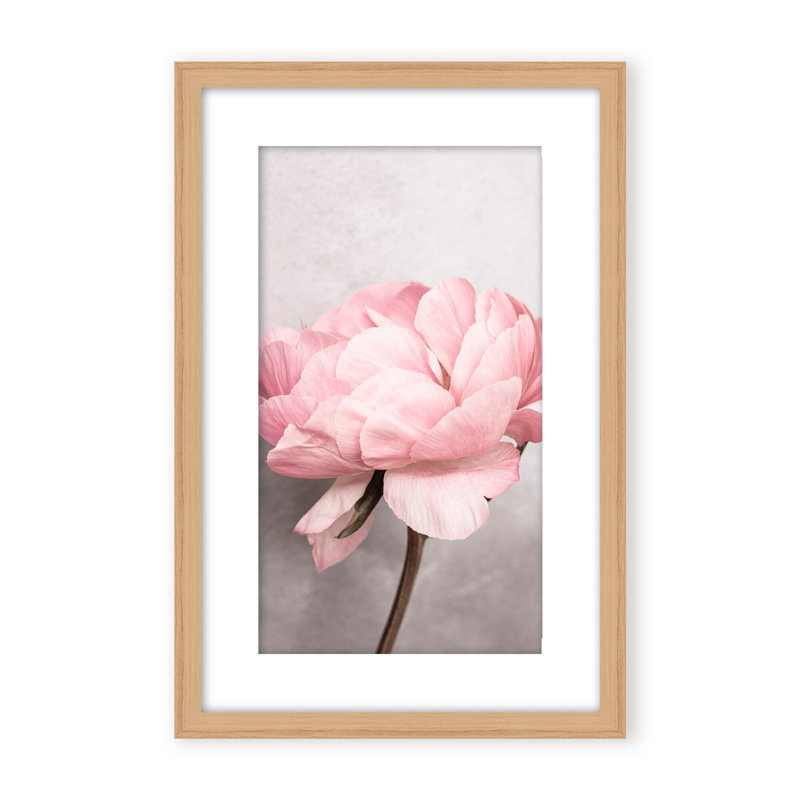 Nature Inspired Peony by  - Picture Frame Photograph on Paper, 24" H x 16" W x 1.125" D, Black, Framed Matted Print
