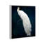 Habillé de plumes - impression-119403334-72500299-72500298