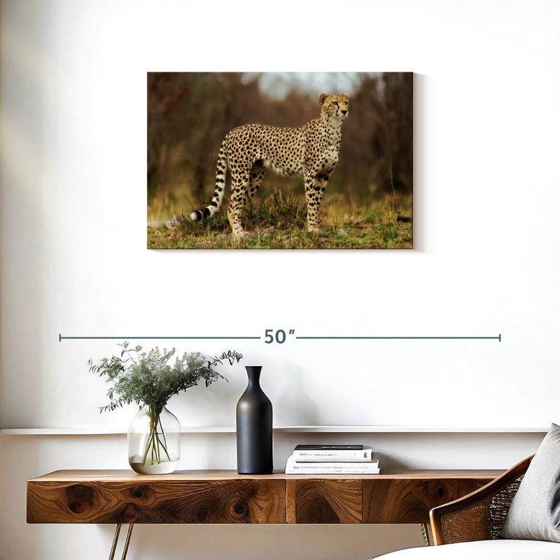 Guépard regardant sa proie, H 20 po x l 30 po