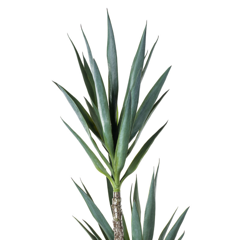 Artificial Green Yucca Tree in Black Planter Pot, 60" H x 12" W x 12" D