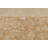 Wool Oriental Rug