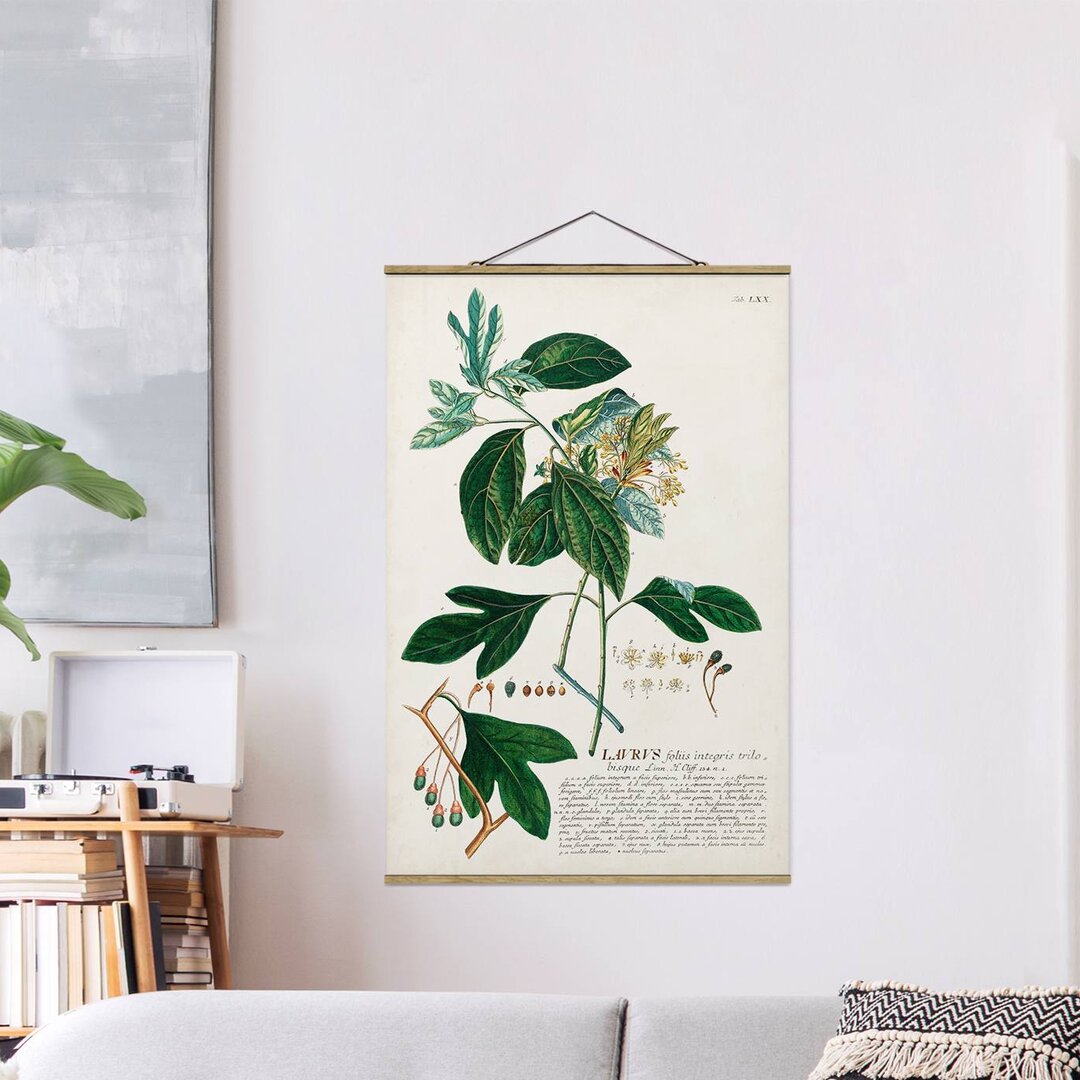 Stoffbild Vintage Botany Illustration Laurel