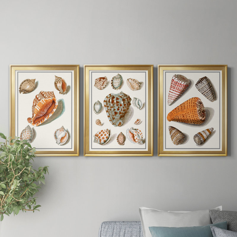 Collection de coquillages collectés - ensemble de 3 peintures sur toile encadrées, H 22,5 po x l 91,5 po x P 1,5 po