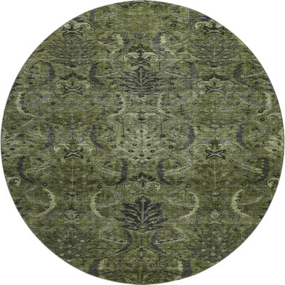 Premium Machine Washable Dahl AMF1082 Damask Rug