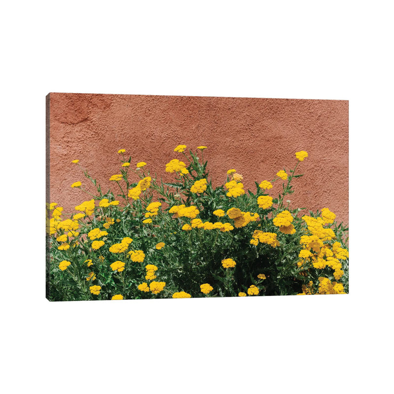 New Mexico Blooms par Bethany Young - Estampe numérique sur toile tendue avec châssis, H 8 po x l 12 po x P 0,75 po