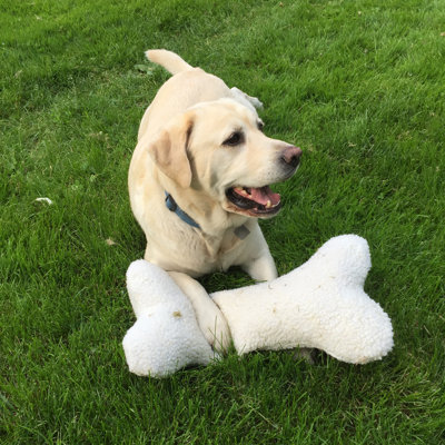 Sherpa Bone Pet Pillow