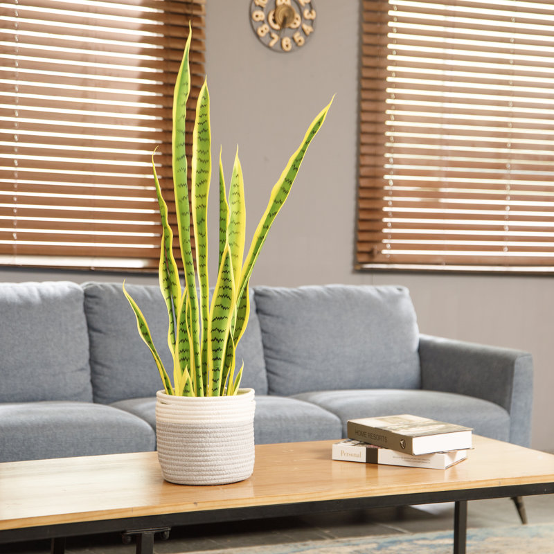 Plante artificielle Chacon dans un panier en corde | Fausse plante 36 po | Vintage Home