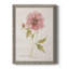 Soft Peony - peinture sur toile encadrée-61358259-61358260