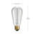 40 Watt, A19 Incandescent Dimmable Light Bulb, Warm White (2200K) E26/Medium (Standard) Base