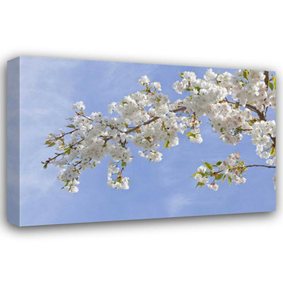 Art sur toile tendu avec Alcott Hill® Paulson, Don, Washington: Seabeck Cherry blossoms
