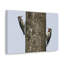 Wall Art on Canvas
